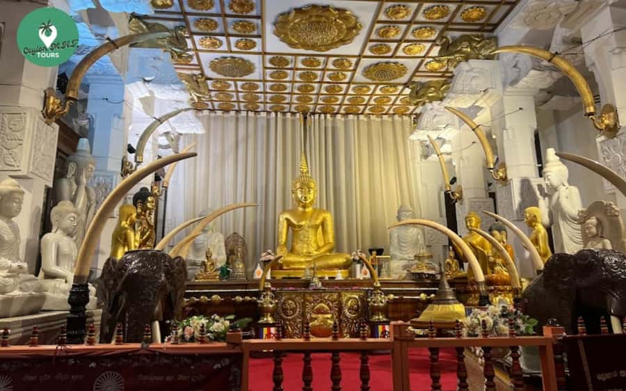 Kandy: Local Guided City Explore by Tuk Tuk - The Tooth Temple and Kandy’s sacred center