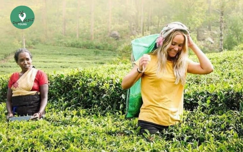 Kandy: Nuwara Eliya Day Explore by Tuk tuk with Local Guide - Ramboda Falls and the first mountain views