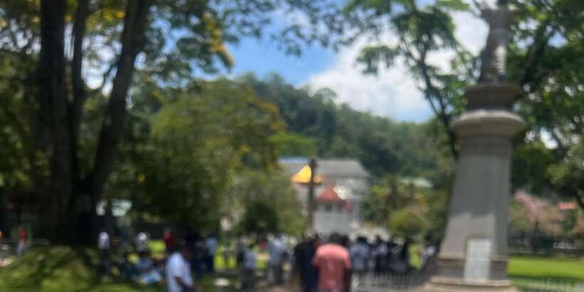 Kandy: Private City Highlights Guided Tour by Tuk-Tuk - The guides and the private format