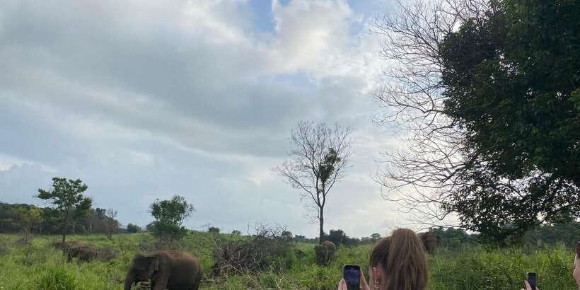 Kandy: Sigiriya, Dambulla & Wildlife Safari Private Tour - What the $19 price really includes