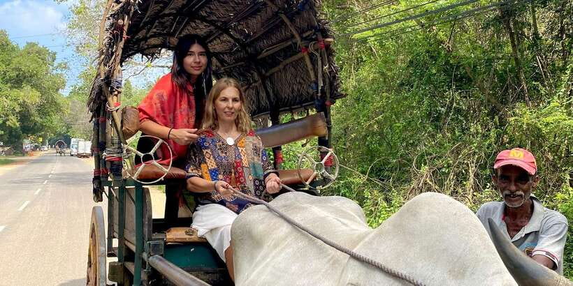 Kandy: Sigiriya, Dambulla & Wildlife Safari Private Tour - Who should book this day