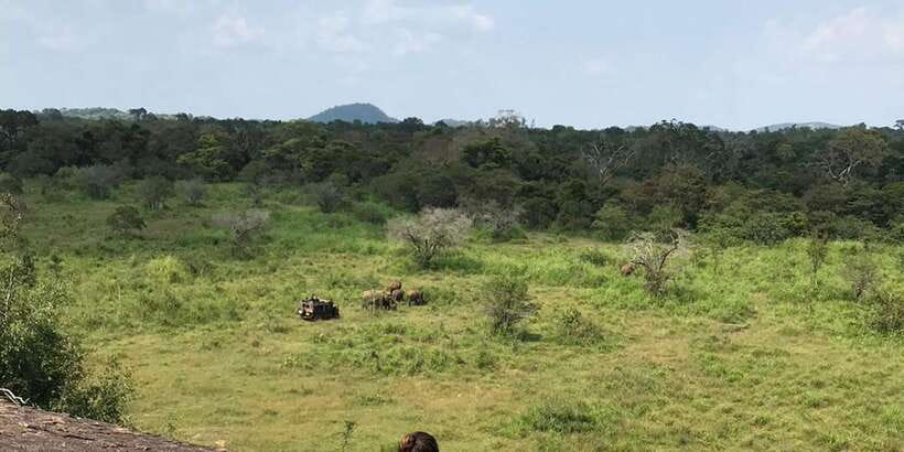 Kandy: Sigiriya, Dambulla & Wildlife Safari Private Tour - The long road from Kandy to Sigiriya