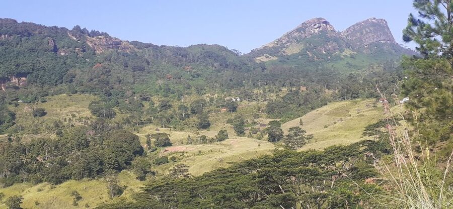 Kandy : Sigiriya Guided Day Tour By Tuk Tuk - Arriving at Sigiriya Lion Rock