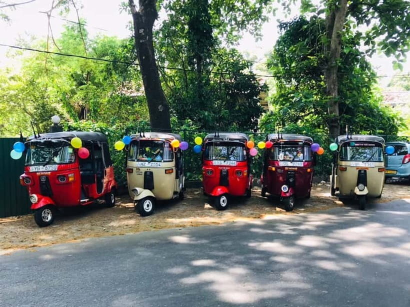 Kandy : Sigiriya Guided Day Tour By Tuk Tuk - Is $34 good value?