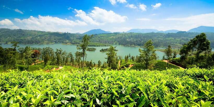 Kandy To Nuwara Eliya Day Tour By Tuk Tuk Sri lanka - Seetha Amman Hindu Temple