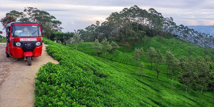 Kandy To Nuwara Eliya Day Tour By Tuk Tuk Sri lanka - Asgiriya Stupa and the first cultural stop