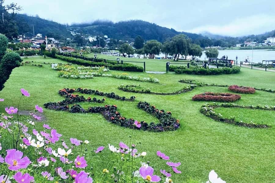 Kandy to Nuwaraeliya Day Or Drop Tour By Local Tuk Tuk - Ramboda View Point and the waterfall stop