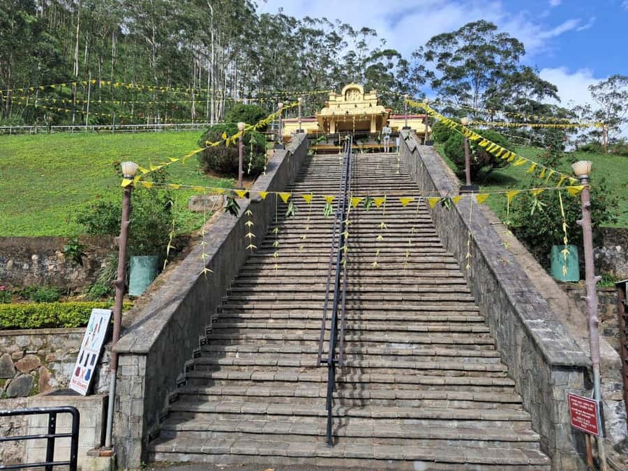 Kandy to Nuwaraeliya Day Or Drop Tour By Local Tuk Tuk - Tea at Damro Tea Factory and Garden
