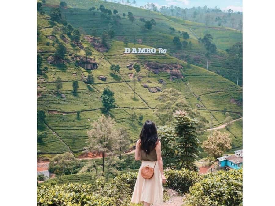 Kandy to Nuwaraeliya Day Or Drop Tour By Local Tuk Tuk - The 1894 Nuwara Eliya Post Office