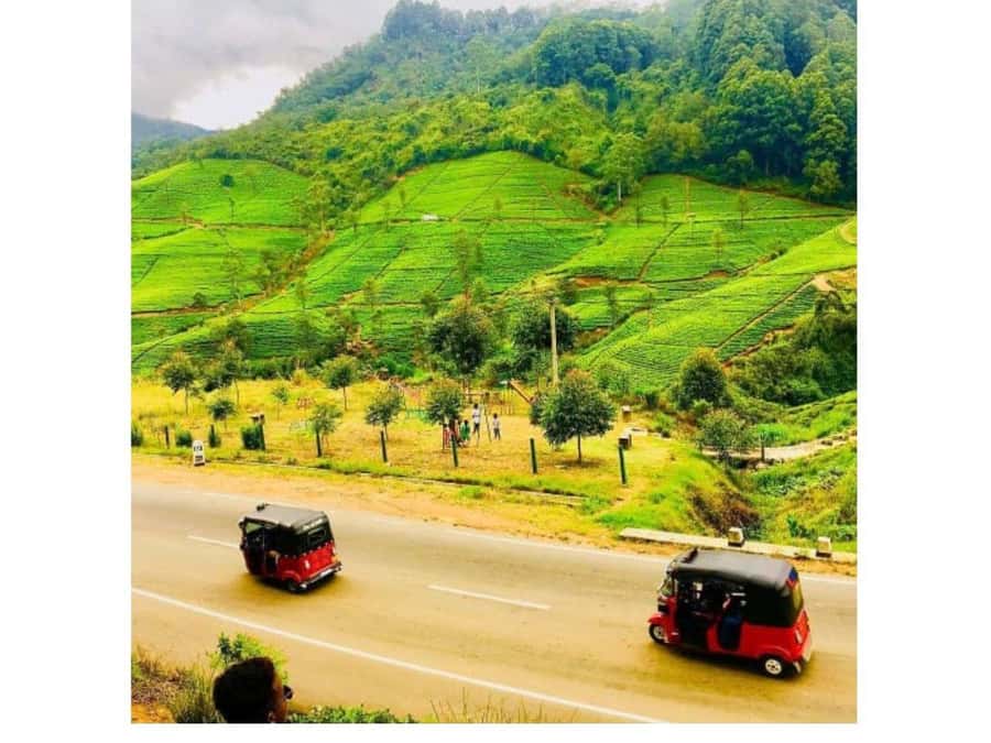 Kandy to Nuwaraeliya Day Or Drop Tour By Local Tuk Tuk - Is $26 per person good value?