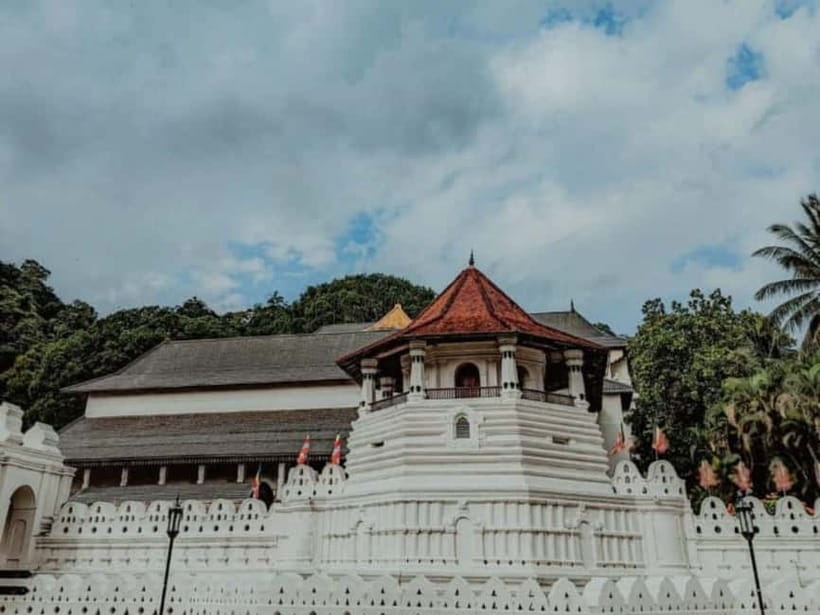 Kandy to Pinnawala Day Tour By Local Tuk Tuk Expedition - The late afternoon cultural show