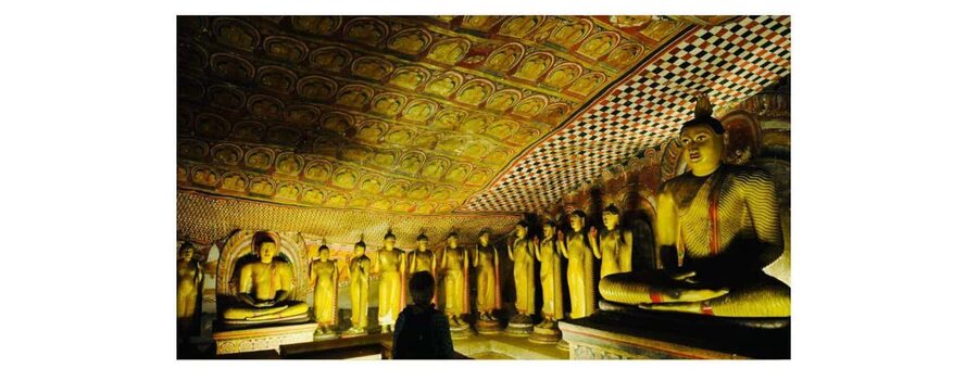 Kandy to Sigiriya Day Tours Tuk Tuk by Local - Choosing a village safari