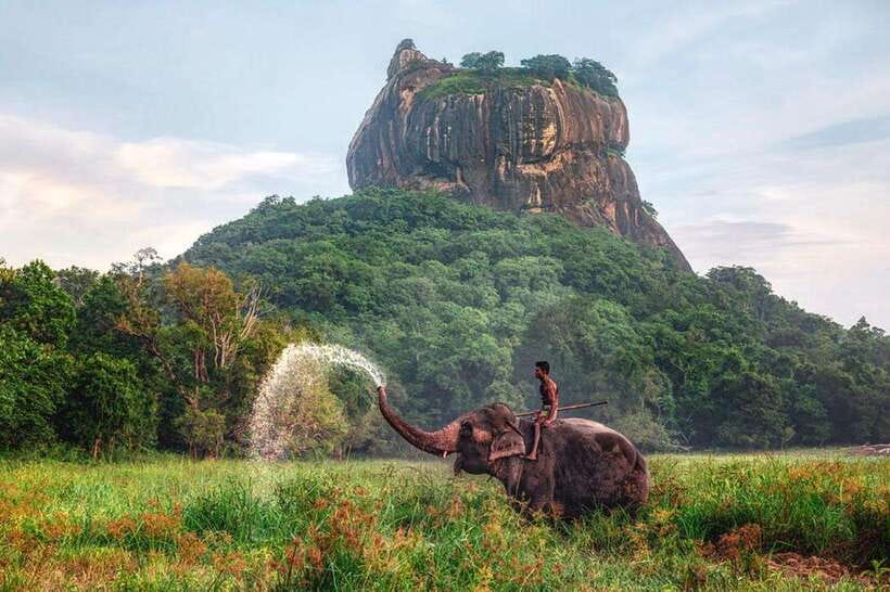 Kandy to Sigiriya Private Tour by Tuk Tuk with All Fees - A long Sri Lankan day with a clear payoff