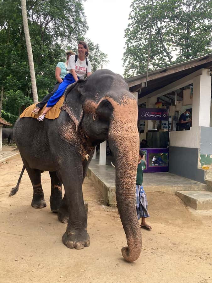 Kandy: Tuk Tuk Adventure with Pinnawala & Ambuluwawa Tower - Key Points at a Glance