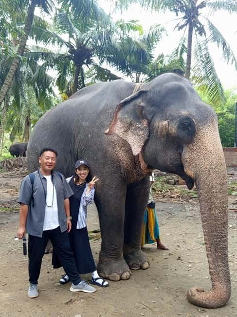 Kandy: Tuk Tuk Adventure with Pinnawala & Ambuluwawa Tower - Dance, Tea, Spices, and Local Craft