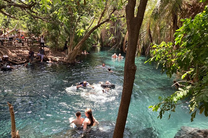 Kikuletwa Chemka Hot Springs Bicycle or Tuk Tuk Day Trip - Key points before you book
