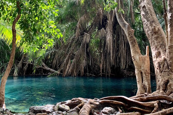 Kikuletwa Chemka Hot Springs Bicycle or Tuk Tuk Day Trip - A turquoise swimming hole outside Moshi