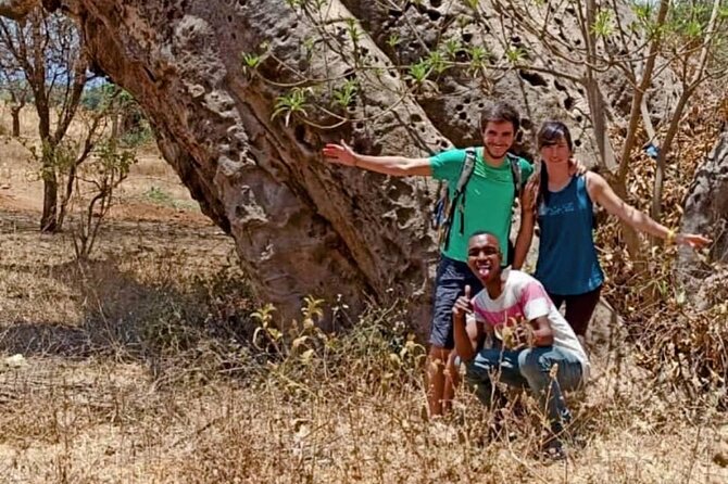 Kikuletwa Chemka Hot Springs Bicycle or Tuk Tuk Day Trip - The value of the $45 price
