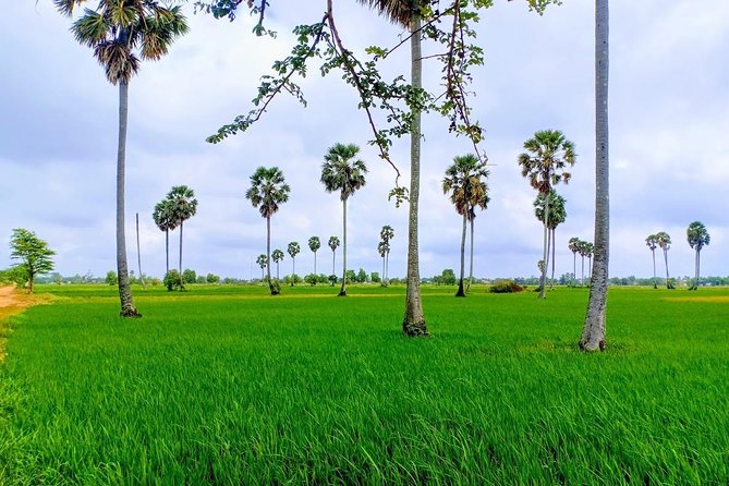 Killing Field & Paddy Rice Fields Tuk Tuk Adventure - Starting at 7:30 with hotel pickup