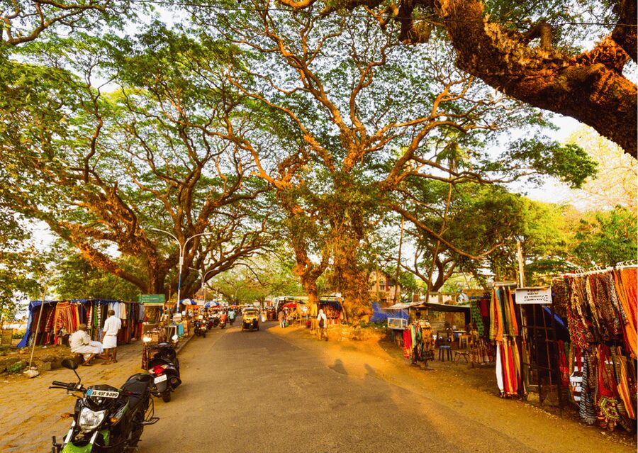 Kochi Insta Photo Walk with Tuk Tuk Ride Experience - Why this two-hour Kochi photo tour works