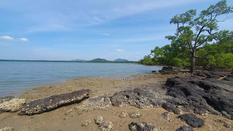 Koh Lanta Cultural Tuk-Tuk Tour: Old Town, Batik & Mangroves - Walking among mangroves, with kayaking as an option