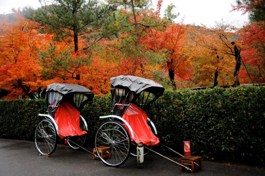 Kyoto: Arashiyama Customized Rickshaw Tour & Bamboo Forest - Why the private format matters