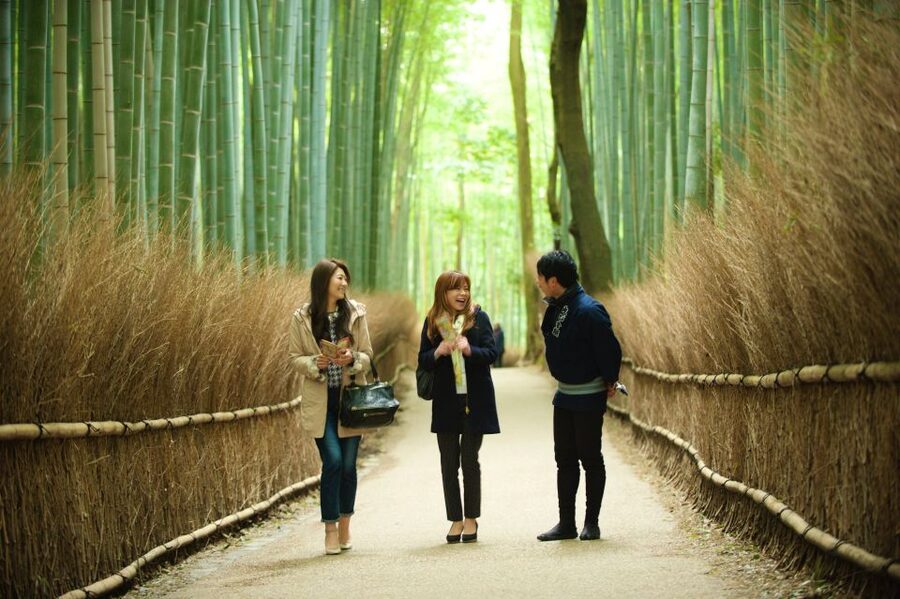 Kyoto: Arashiyama Customized Rickshaw Tour & Bamboo Forest - Who should book this Arashiyama experience?