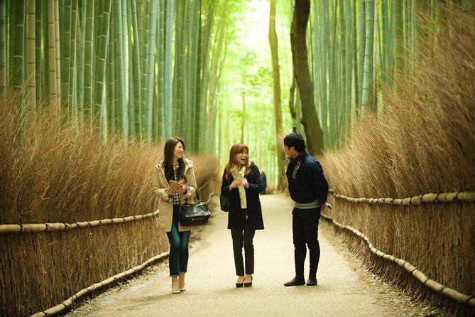 Kyoto Arashiyama Rickshaw Tour with Bamboo Forest - Why a rickshaw is a smart way into Arashiyama