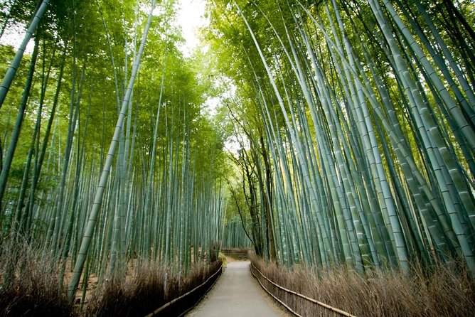 Kyoto Arashiyama Rickshaw Tour with Bamboo Forest - Starting on Bamboo Forest Street