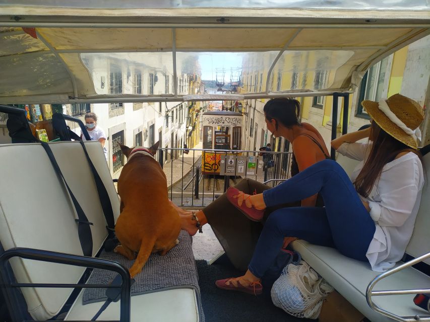 Lisbon: All City Premium Private Guided Tour by Tuk-Tuk - A Four-Hour Overview of Lisbon by Tuk-Tuk