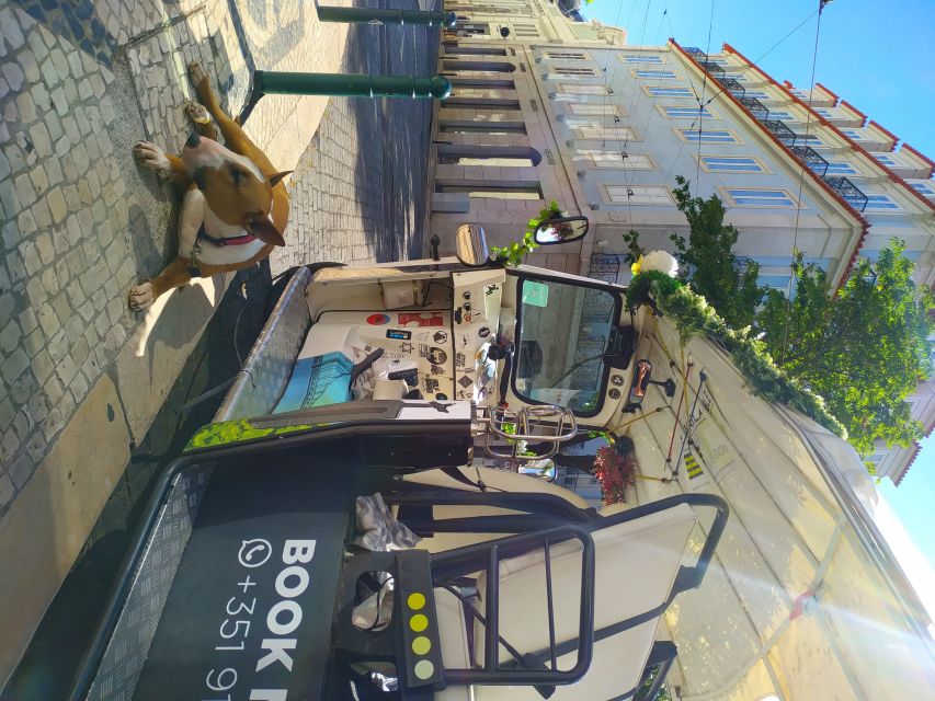 Lisbon: All City Premium Private Guided Tour by Tuk-Tuk - Mercado da Ribeira and the Pink Street