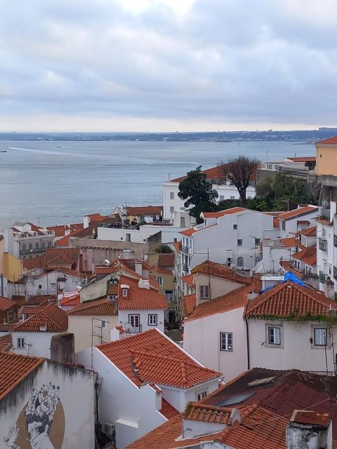 Lisbon: Chiado, Bairro Alto, and Principe Real Tuk Tuk Tour - What the Private Format Adds