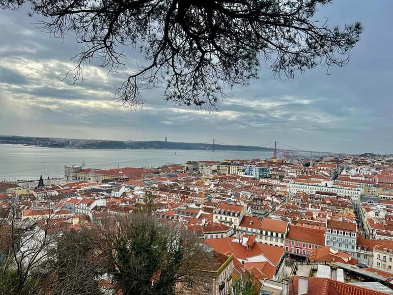 Lisbon: Guided Sightseeing Tour by Tuk Tuk - Santa Luzia, Portas do Sol, and the best Alfama views