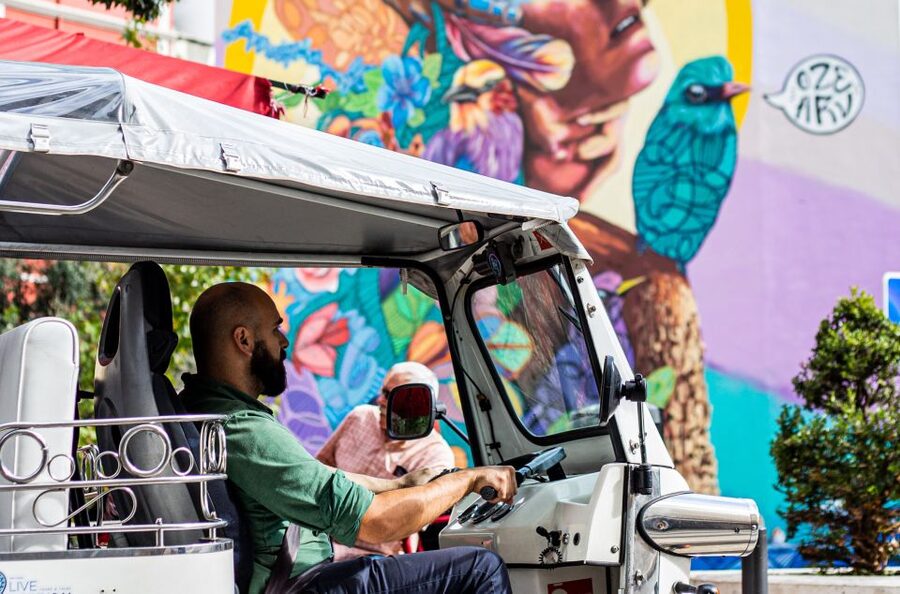 Lisbon: Half-Day Private Guided Tuk-Tuk Tour - São Vicente, the Pantheon, and the Tagus
