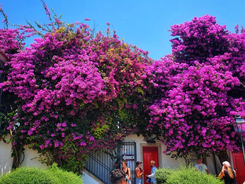 Lisbon: Old Town TukTuk Tour and Scenic Viewpoints in Alfama - The National Pantheon, flea market, and Alfama lanes