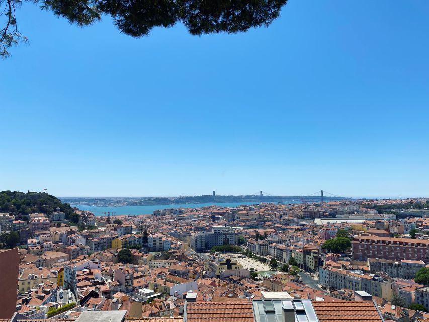 Lisbon: Private City Sightseeing Tour by Tuk-Tuk - São Vicente, the National Pantheon, and the flea market
