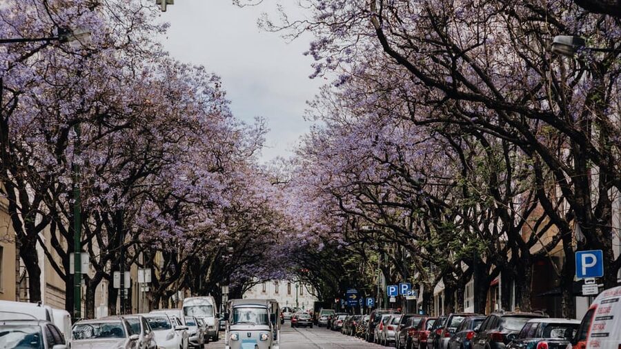 Lisbon: Private City Tour by Tuk-Tuk - Key points at a glance