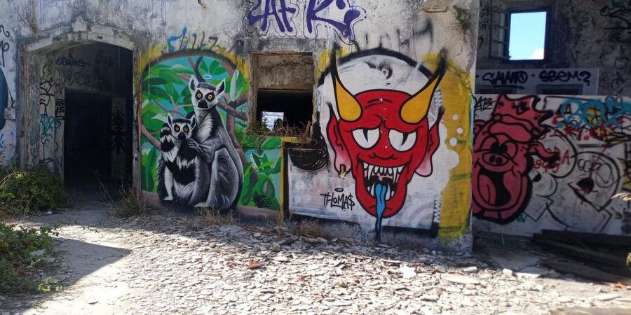 Lisbon: Private Tuk-Tuk Street Art Tour for 2,5 hours - Who will enjoy this most?