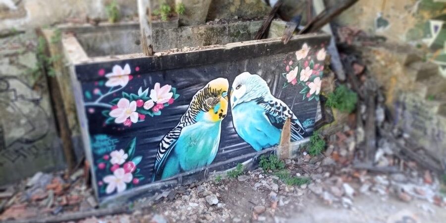 Lisbon: Private Tuk-Tuk Street Art Tour for 2,5 hours - Practical advice before you book