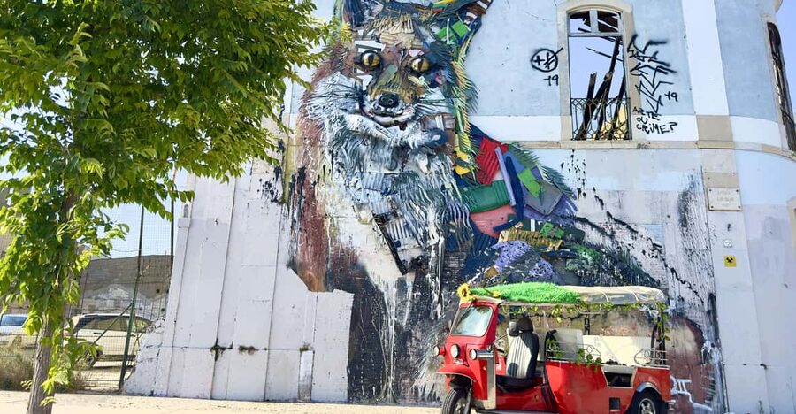 Lisbon: Sightseeing City Tour by Tuk-Tuk - Key points to know before booking