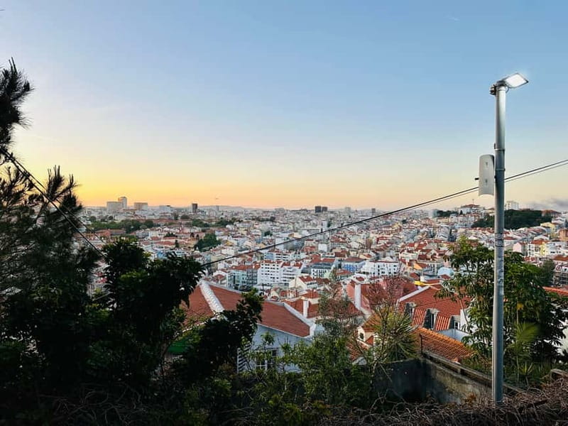 Lisbon Tuk Tuk Tour 1 Hour 30 Min - Why a tuk tuk works well in Lisbon’s old quarters