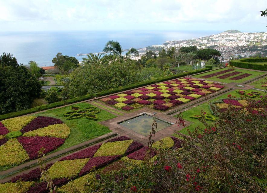 Madeira: Botanical Garden in a Tuk-Tuk Tour - Why this short tuk-tuk tour works