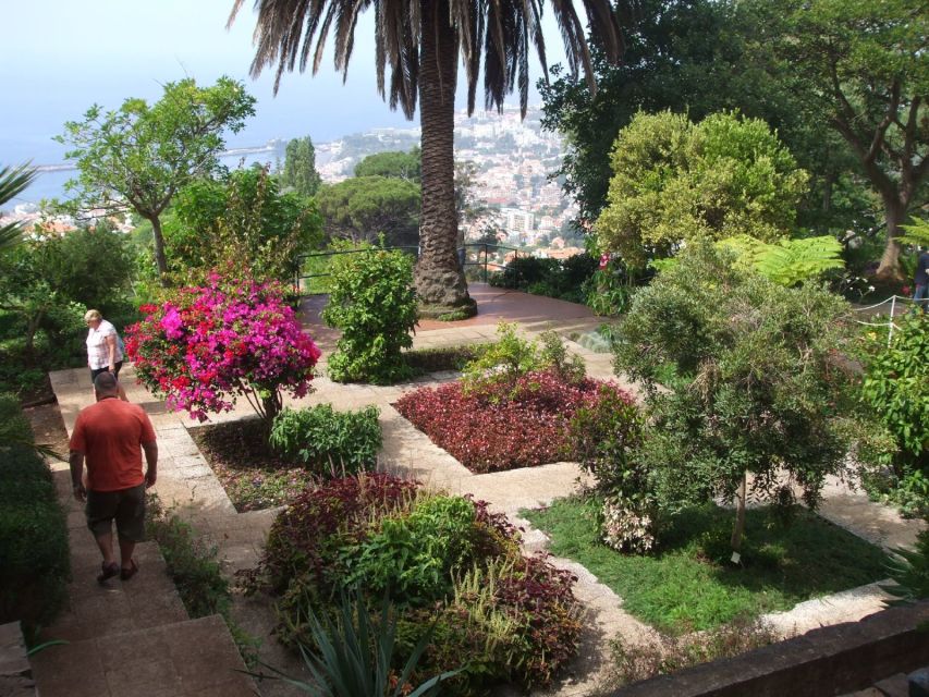 Madeira: Botanical Garden in a Tuk-Tuk Tour - The uphill ride from Funchal