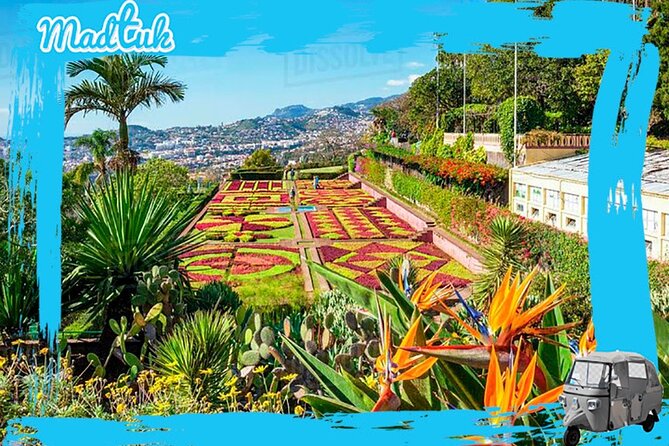 Madeira Botanical Gardens and Old Town Tuk Tuk Tour by MadTuk - A quick ride from Funchal’s market to the hills