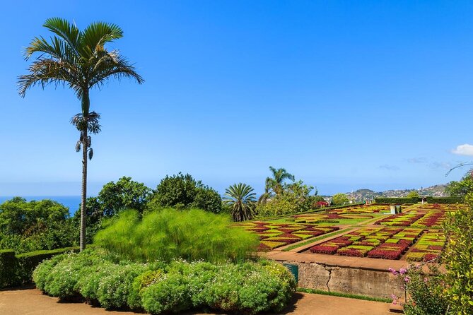 Madeira Botanical Gardens and Old Town Tuk Tuk Tour by MadTuk - The market passage adds a local starting point