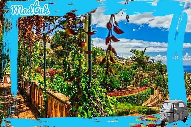 Madeira Botanical Gardens and Old Town Tuk Tuk Tour by MadTuk - Is $45.66 a fair price?