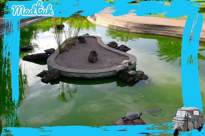 Madeira Botanical Gardens and Old Town Tuk Tuk Tour by MadTuk - Who should book this MadTuk outing?
