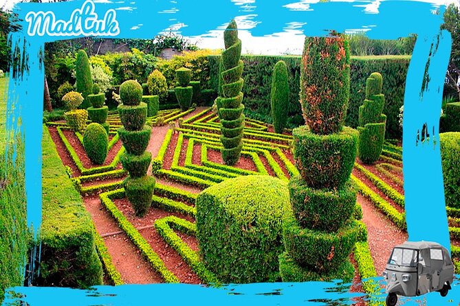 Madeira Botanical Gardens and Old Town Tuk Tuk Tour by MadTuk - The road to Madeira Botanical Garden is part of the appeal