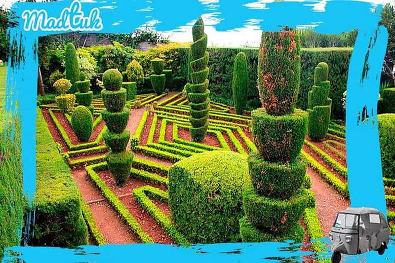 Madeira: Botanical Gardens + Old Town Tuk-Tuk Tour by MadTuk - Key points before you book