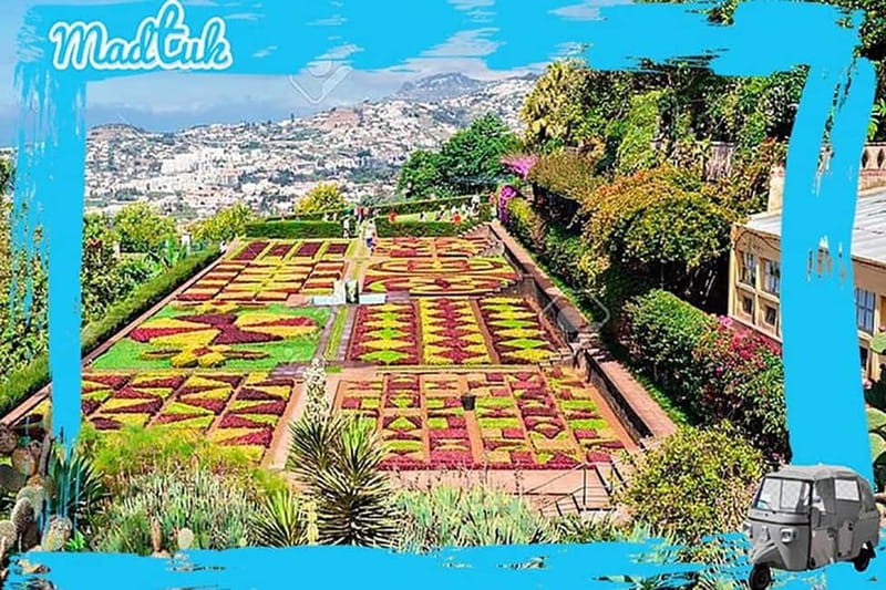 Madeira: Botanical Gardens + Old Town Tuk-Tuk Tour by MadTuk - The return route through Funchal